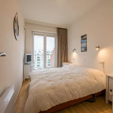 Les Petrels Zesde * 科克赛德